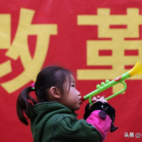 養(yǎng)老金最新動態(tài)，全面改革與增長趨勢展望