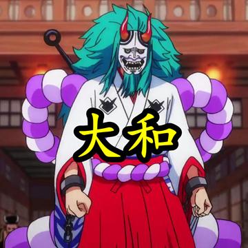 海賊王全集中文名最新詳細解析