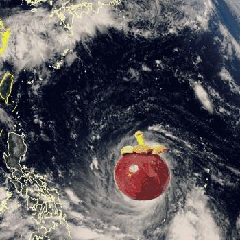 臺風最新動態(tài)圖解析，路徑、影響與防范攻略