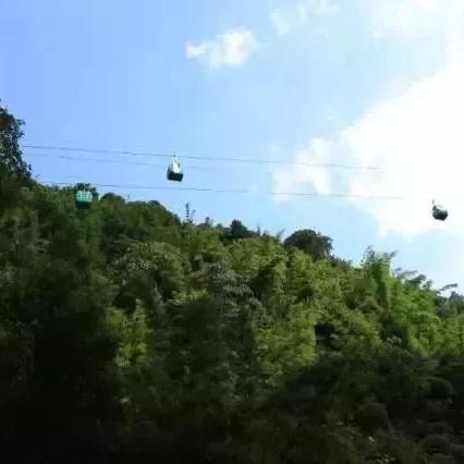 最新開中變傳奇網(wǎng)站，探索未知世界的神秘門戶