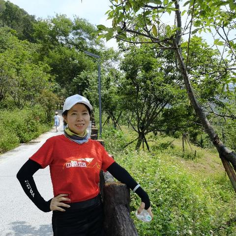 深圳龍崗平湖最新招聘信息概覽