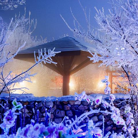 內(nèi)褲子奇緣最新章節(jié)，啟示錄揭秘神秘之旅