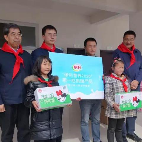 奶業(yè)最新動態(tài)，深度解讀行業(yè)消息