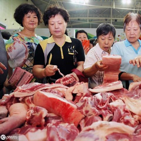 肉苗雞價格行情最新分析