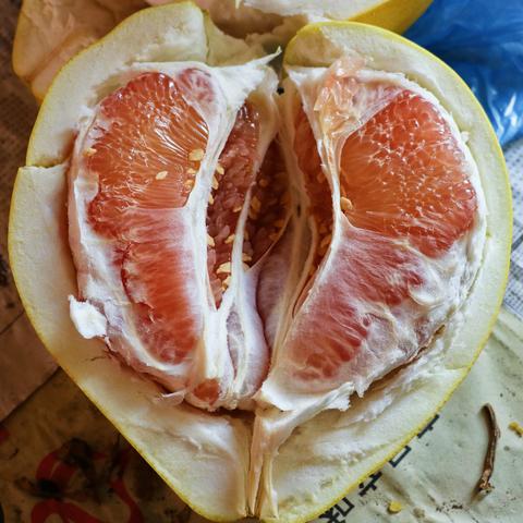 柚子相機(jī)最新版下載，專業(yè)攝影工具新體驗(yàn)