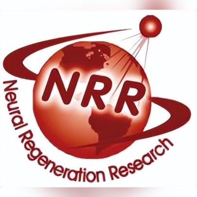 神經(jīng)網(wǎng)絡(luò)前沿研究方向深度解析