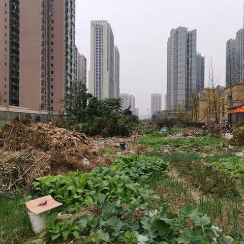 新都大豐最新動(dòng)態(tài)消息速遞