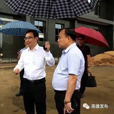 康綠寶最新動態(tài)報道