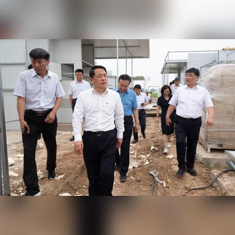 襄陽市襄城區(qū)規(guī)劃解析，最新規(guī)劃概覽