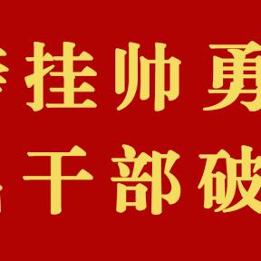 何善錦最新動態(tài)消息曝光