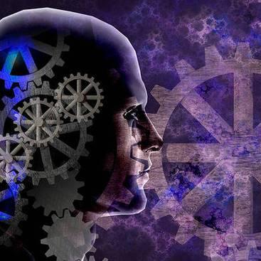 換頭術(shù)最新進(jìn)展，突破性成果與未來展望