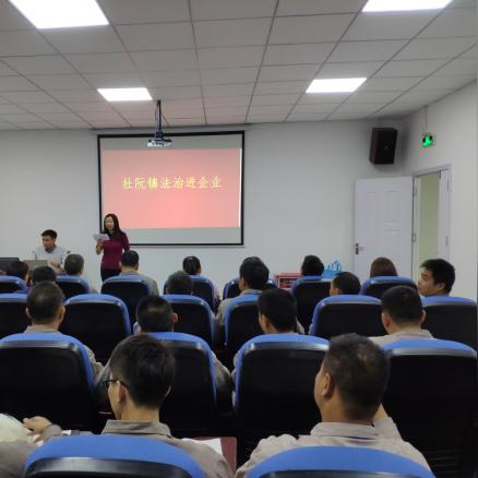 杜阮龍榜招聘職位詳解及申請指南