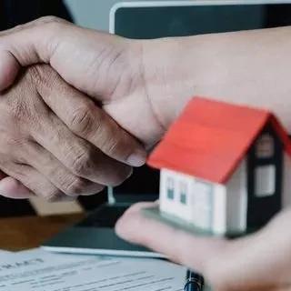 最新政府信息公開條例深度解讀