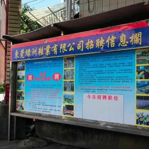 東莞厚街最新招聘信息匯總解析