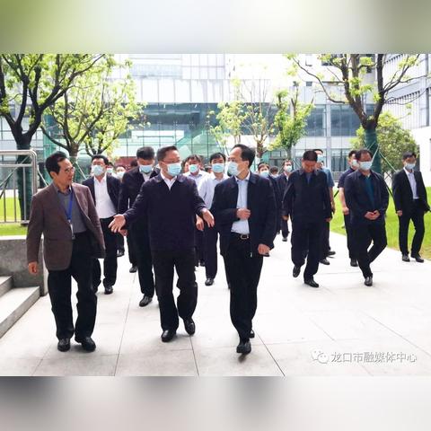 龍口人才網招聘動態(tài)深度解析