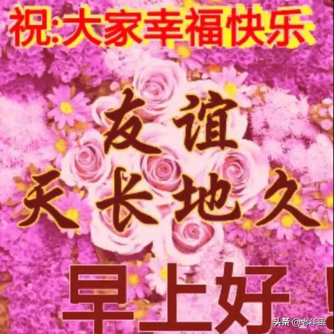 和包最新版功能全面解析