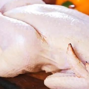 山東禽流感最新全面報道