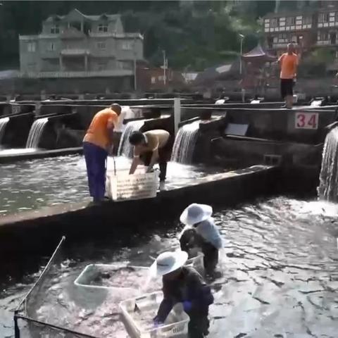 農(nóng)村荒山承包政策解讀，最新規(guī)定與權(quán)益保障