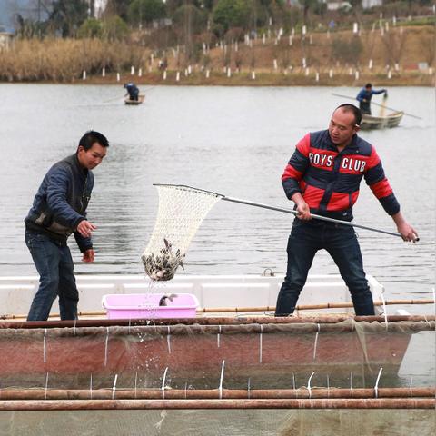 全民捕魚贏話費(fèi)最新版，游戲新體驗(yàn)詳解