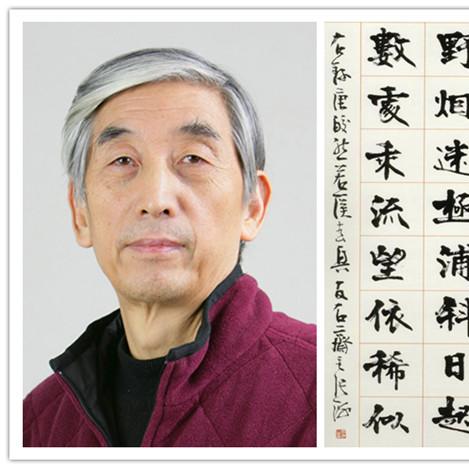 河南省書協(xié)最新名單解析