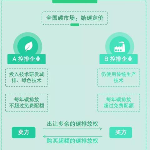 碳排放價(jià)格行情分析，最新價(jià)格動(dòng)態(tài)解讀