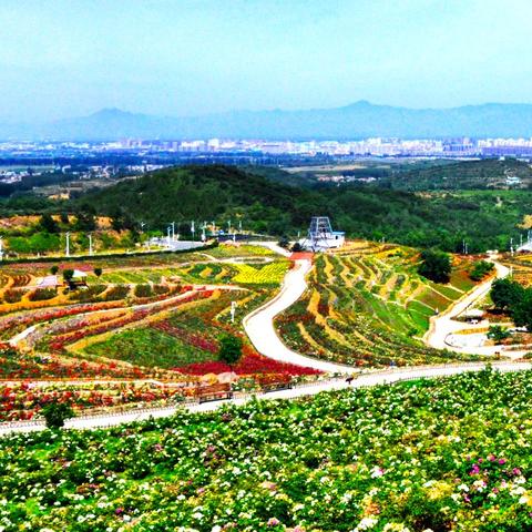 南宮娛樂APP官網(wǎng)下載，全新數(shù)字娛樂體驗