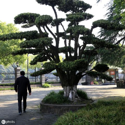 北斗云吉祥最新動態(tài)深度解讀