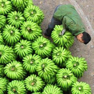 中山神灣最新招聘信息發(fā)布