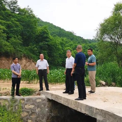 宜陽(yáng)縣最新招標(biāo)信息全面解析