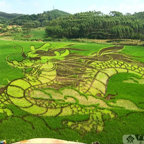 廣西賓陽(yáng)新聞快報(bào)最新動(dòng)態(tài)