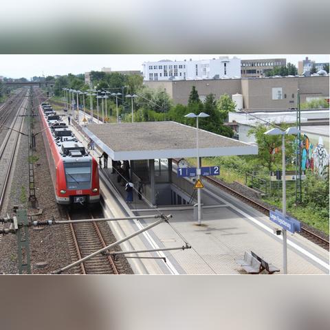 蘭州企業(yè)招聘最新動態(tài)信息