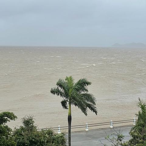 帕卡臺風(fēng)最新消息（今日實(shí)時更新）