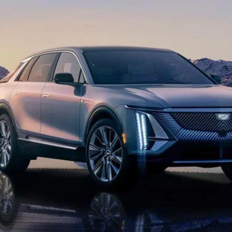 2025年碰瓷事件真相揭秘，深度剖析與報(bào)道