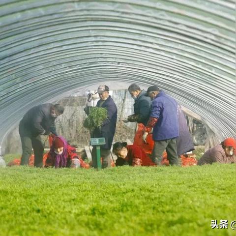 南京溧水招工信息大解析，最新崗位一覽