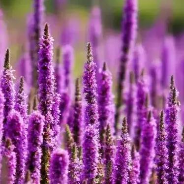 微信觸動心靈瞬間，數(shù)據(jù)揭秘最新說說大全