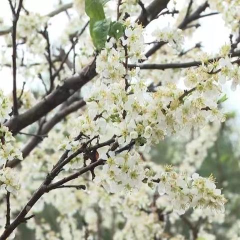 賓陽(yáng)發(fā)生特大最新事件