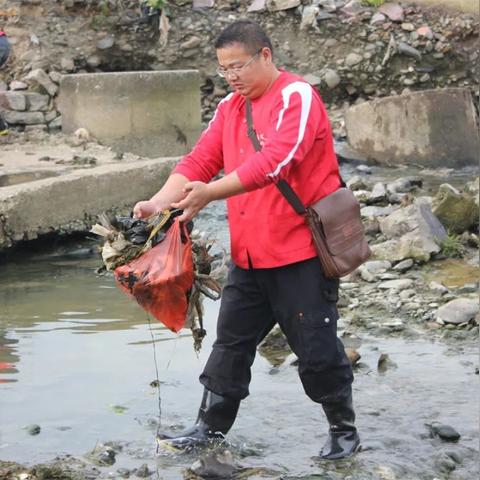 寧國(guó)租房最新動(dòng)態(tài)及市場(chǎng)分析