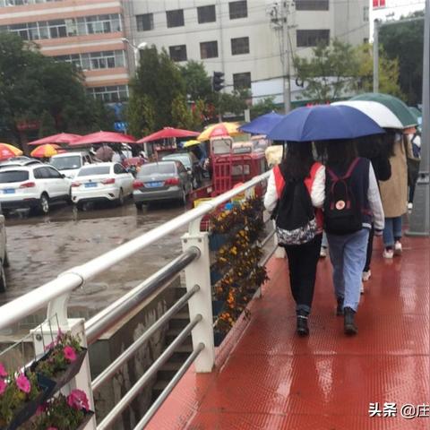 莊浪縣新聞速遞，最新報(bào)道匯總