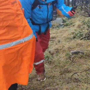 熬太最新消息全面解讀