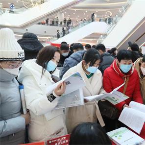 禹城在線招聘信息全面解析