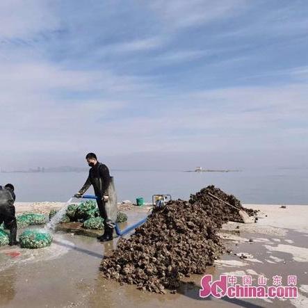 商河新聞快報(bào)，最新消息匯總