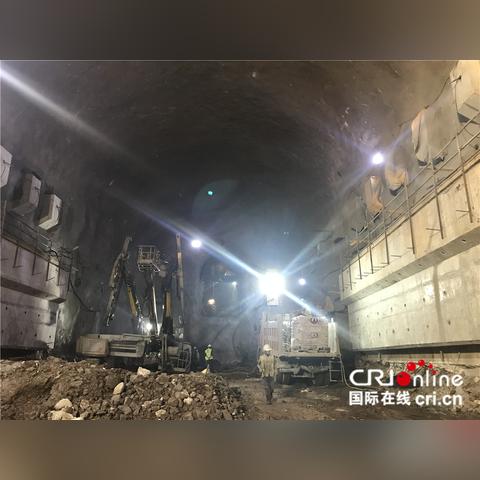 平湖金進(jìn)廠最新招聘全面解析