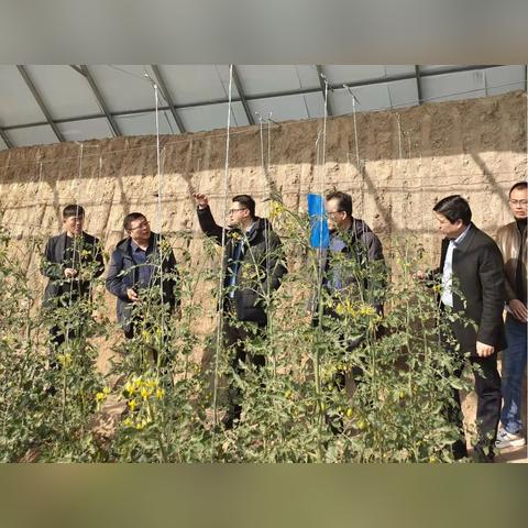 鄉(xiāng)村醫(yī)生編制辦法最新解讀