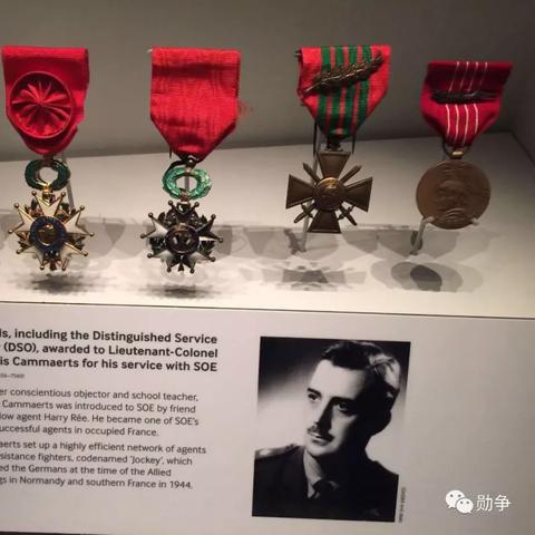 MC軍團(tuán)最新地址與詳細(xì)介紹，一網(wǎng)打盡所有信息