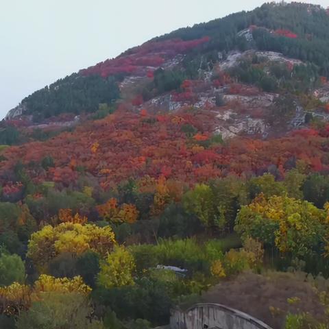 濟南西部發(fā)展最新動態(tài)