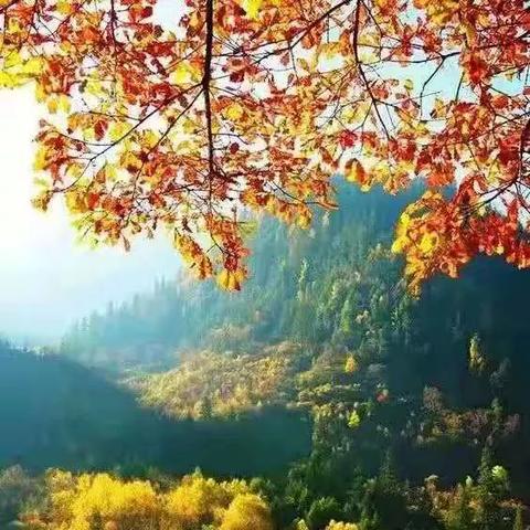 NBA Live 08最新球員名單概覽