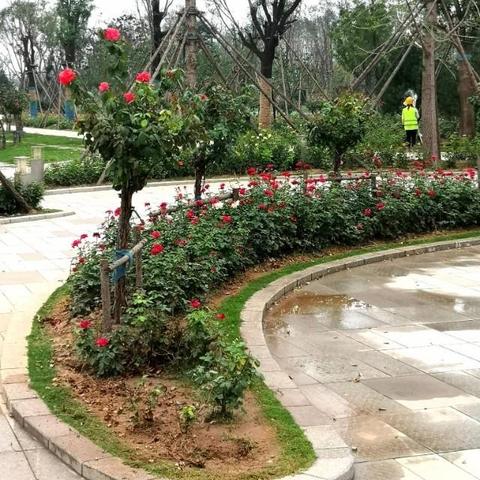 焦作南水北調(diào)工程最新進(jìn)展消息