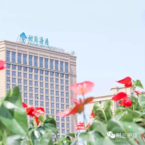 杭州最新招聘信息與求職指南