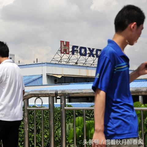 觀瀾最新招工信息深度解析