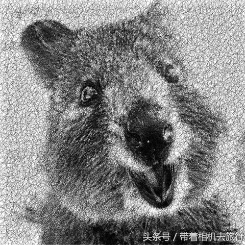 聯(lián)想超級相機最新版，科技與藝術(shù)之完美融合